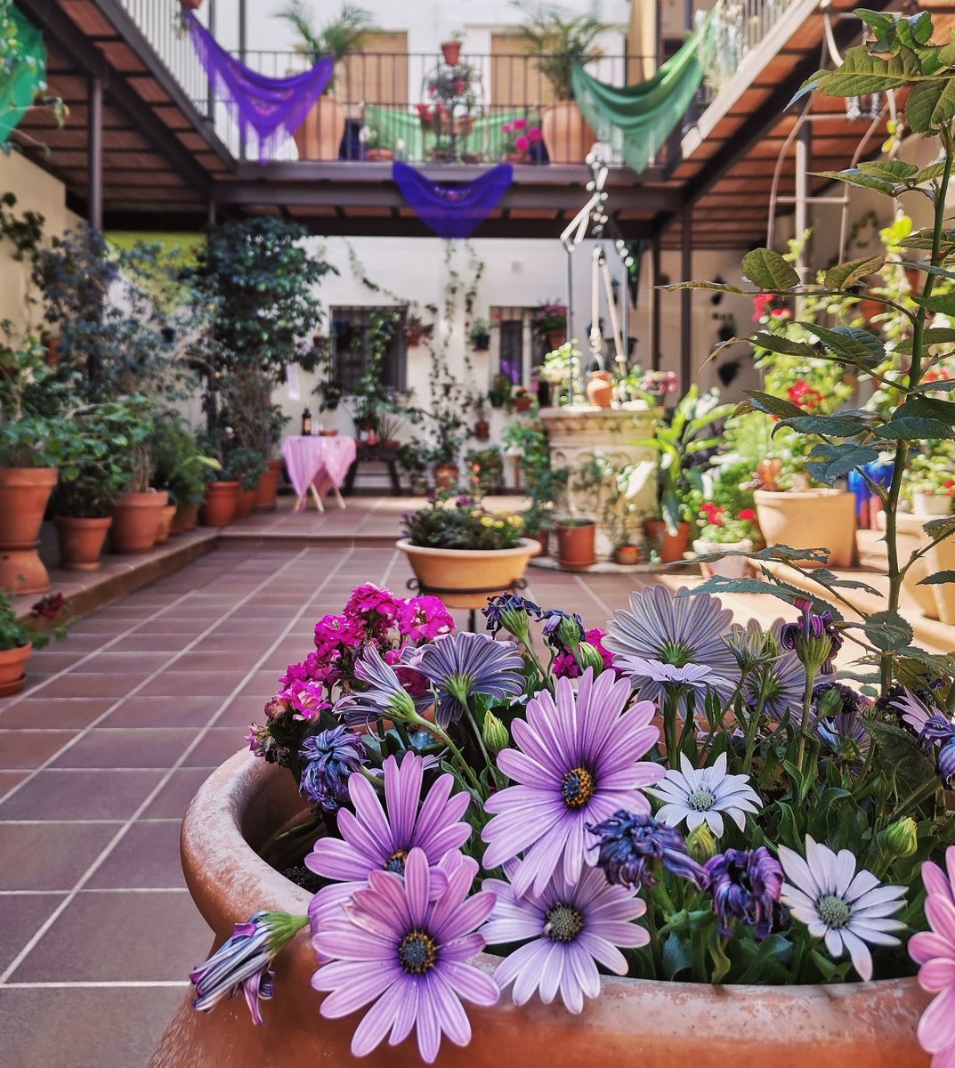 Alberto☀️ tweet media