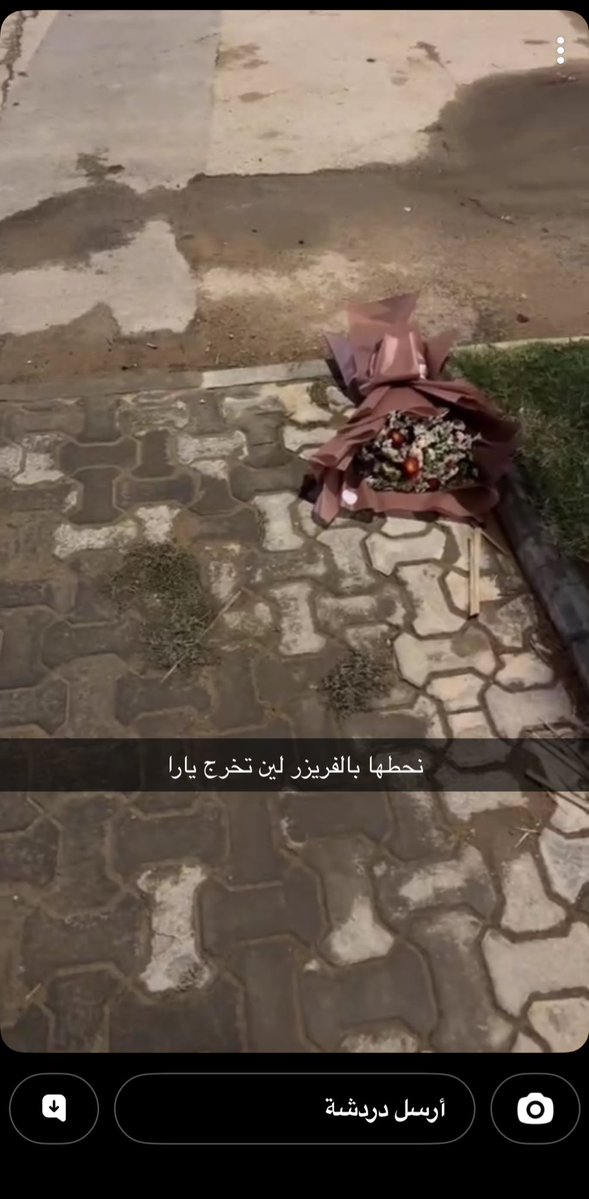 يارا الربيعة tweet media