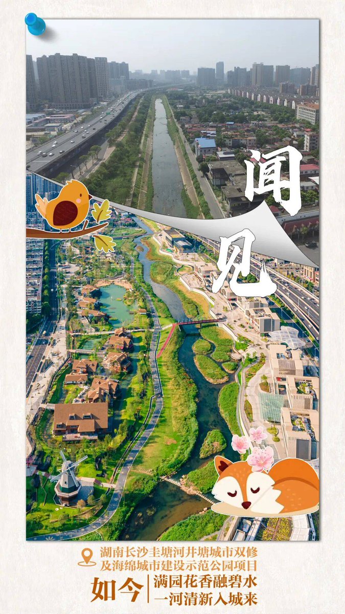 baleh houari tweet media