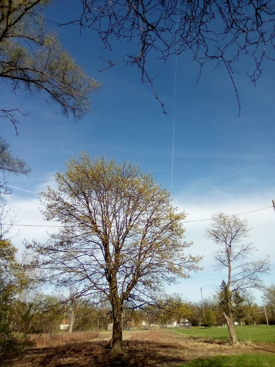 Chrysta98280467's tweet image. God I owe you for holding me together when I had every reason to fall apart 🙏🙌❤️
#inspiration #inspirational #thankful