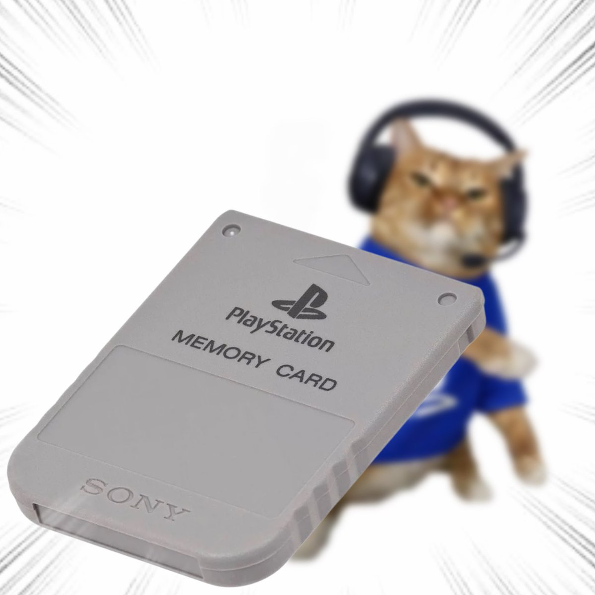 Throwing Things Daily tweet media