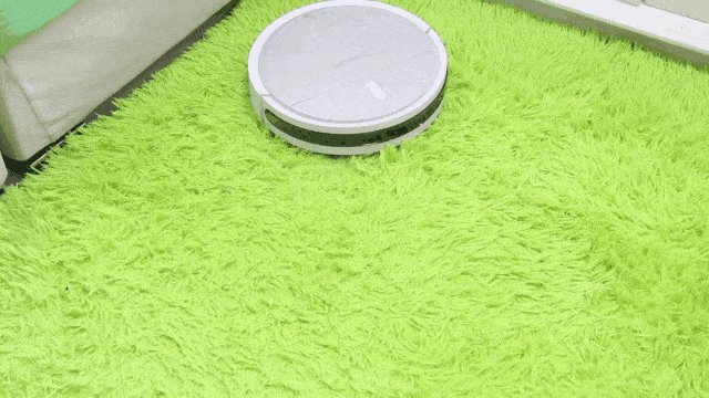 Danielle Healy tweet media