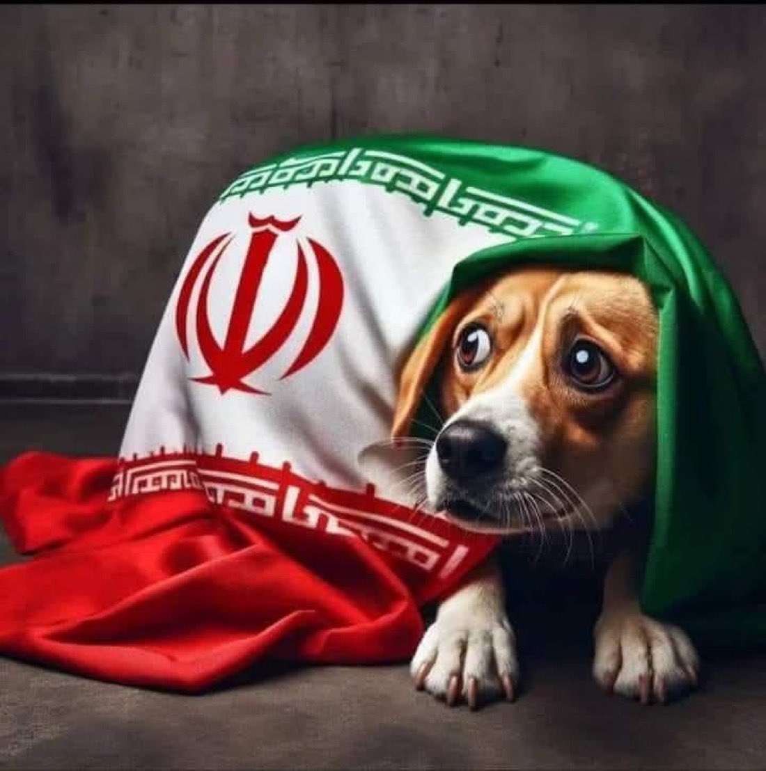 🇸🇦AT tweet media