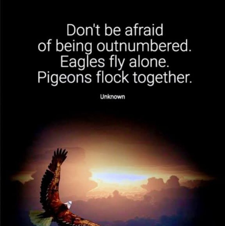 CookieKL's tweet image. Fly #alone 🤘🔥🩷✌🏻
#PositiveVibesOnly 🥰