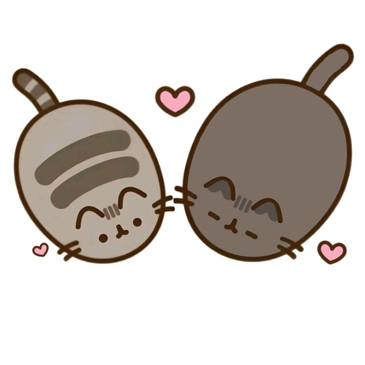 Pusheen parody account tweet media