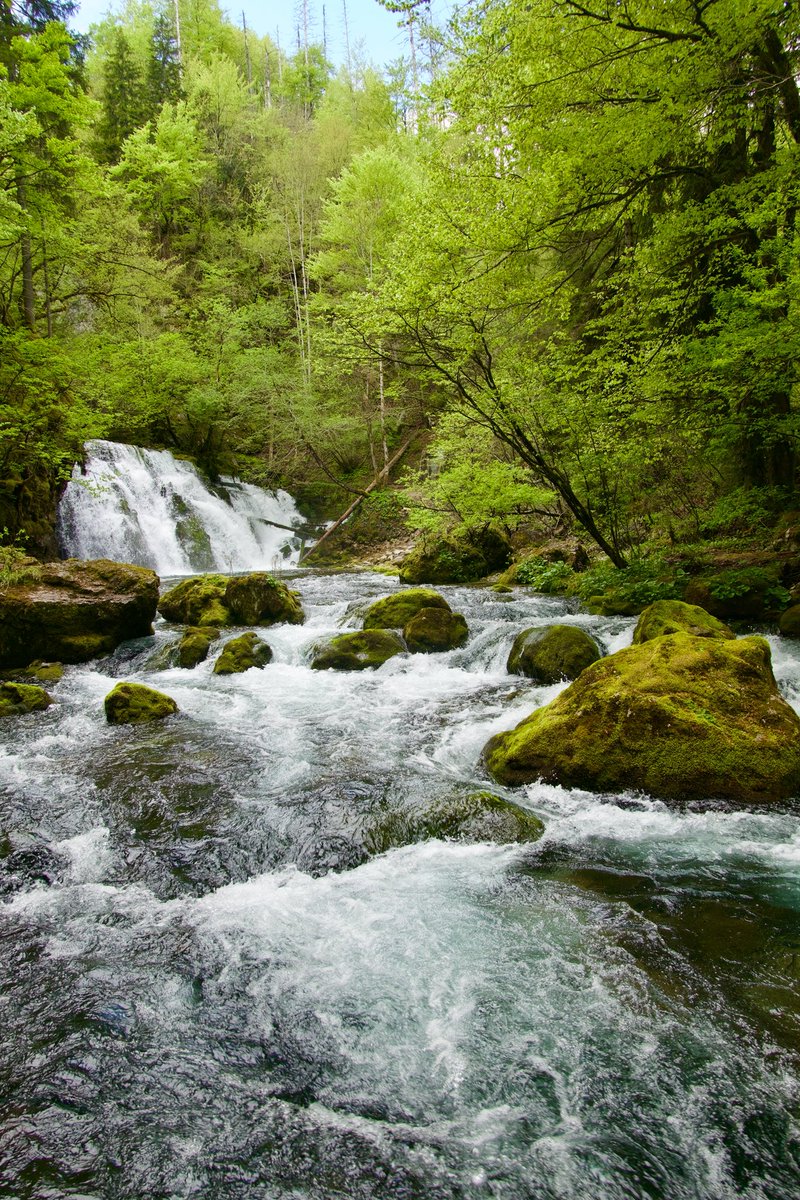 Exploring Slovenia tweet media