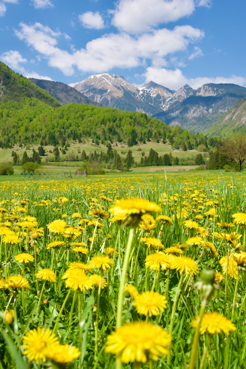 Exploring Slovenia tweet media