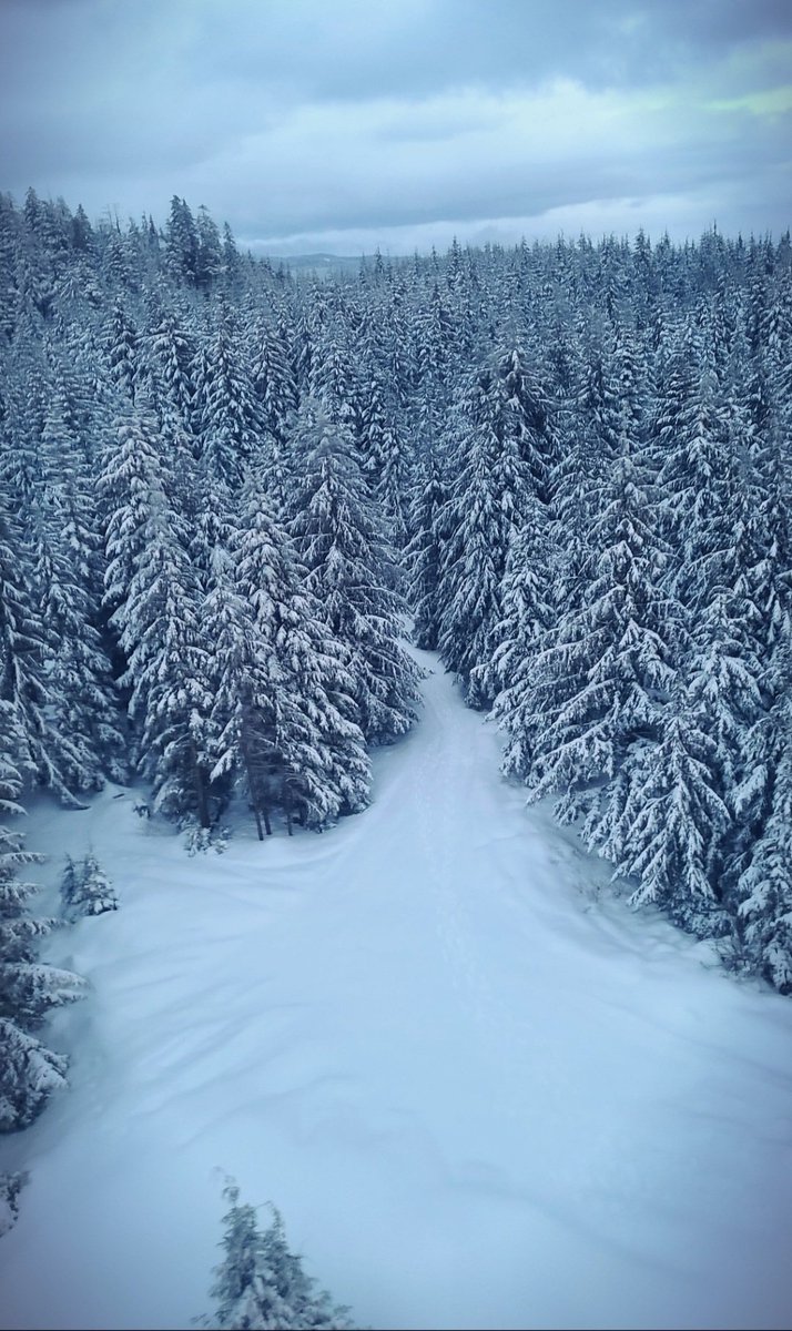 TrishJewison's tweet image. Hump Day photo dump around #Vancouver 📷