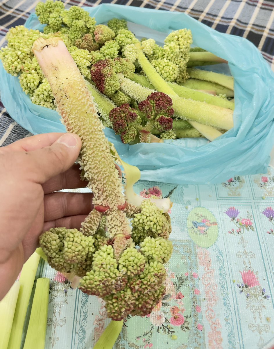 Azad Çiftçi tweet media