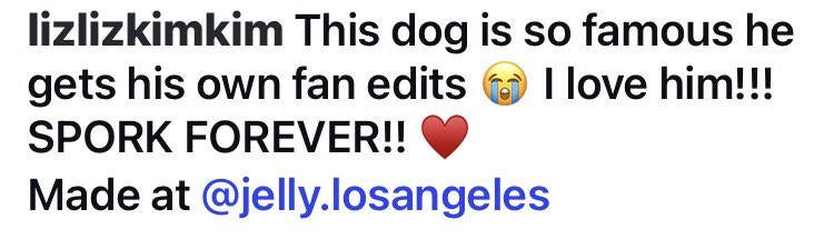 Angela Giarratana Updates 🍝🍉 tweet media