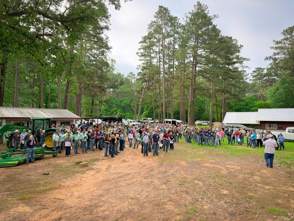 Texas Forestry Association tweet media