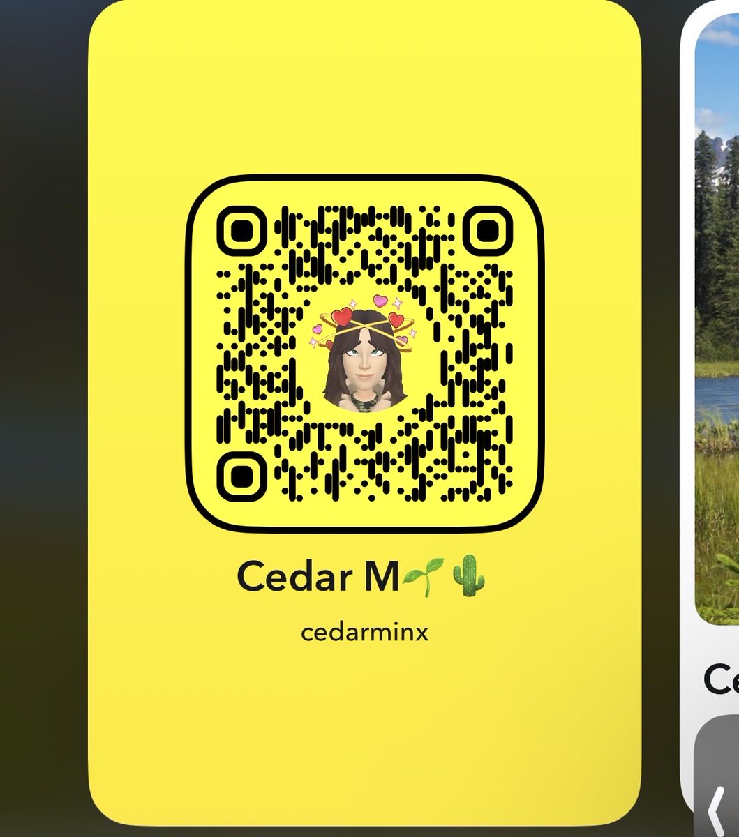 Cedar 🦋 tweet media