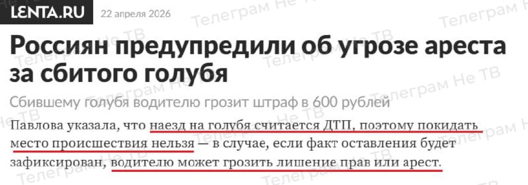 ⭐️Oles Filonenko⭐️ tweet media