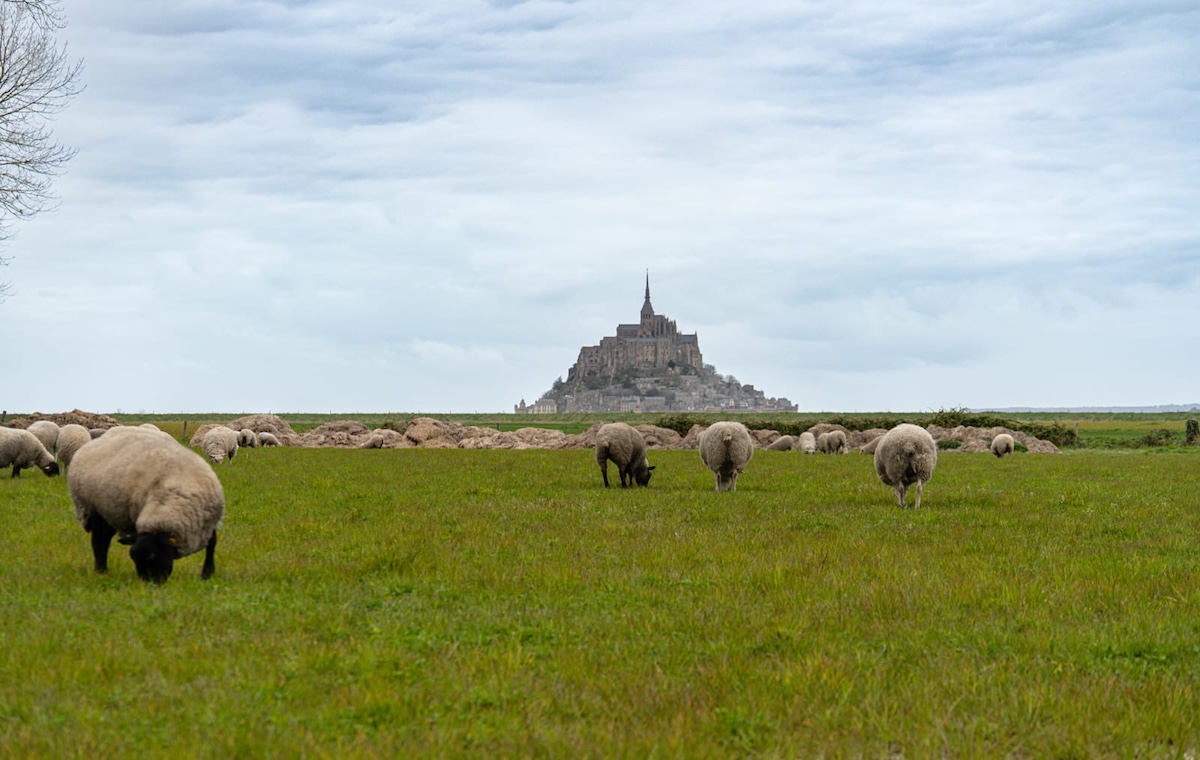 VagamundosViaje's tweet image. [NUEVO] Monte Saint-Michel es uno de los lugares más icónicos de #Francia e incluso del mundo: te contamos los sitios imprescindibes a ver y cómo visitarlo #normandia #montsaintmichel @ExploreFranceES @RegionNormandie @EPMontStMichel #ExploreFrance

vagamundosviajeros.com/francia-norman…