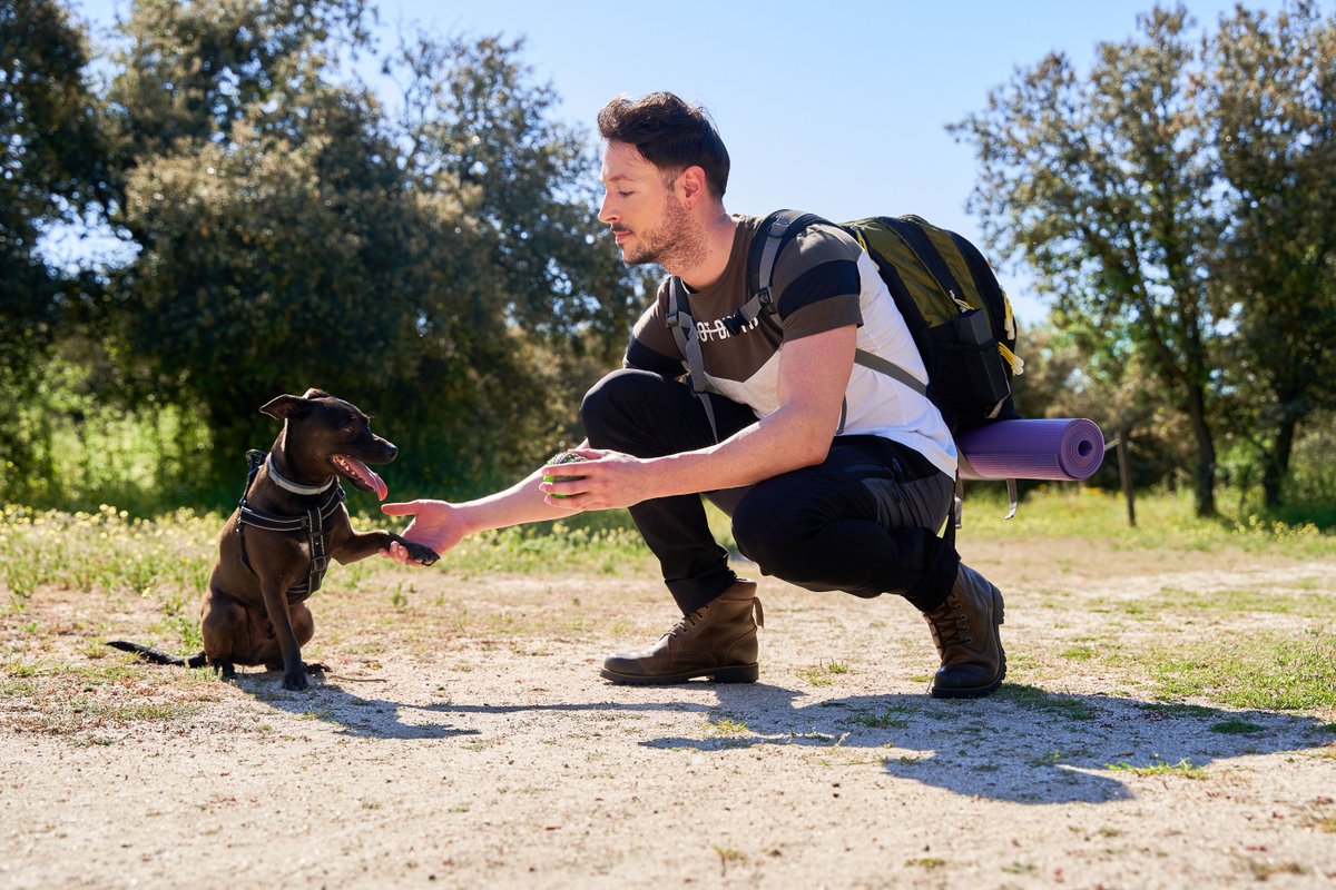 masterdogtrain's tweet image. Need a well-behaved dog?🐾 Master Dog Trainer Academy's training offers practical sessions for results. Basic obedience to advanced skills—tailored courses to your dog's needs. See improvements now!🐕‍🦺 #dogtrainer #dogtrainercourses #MasterDogTrainerAcademy #DogBehavior