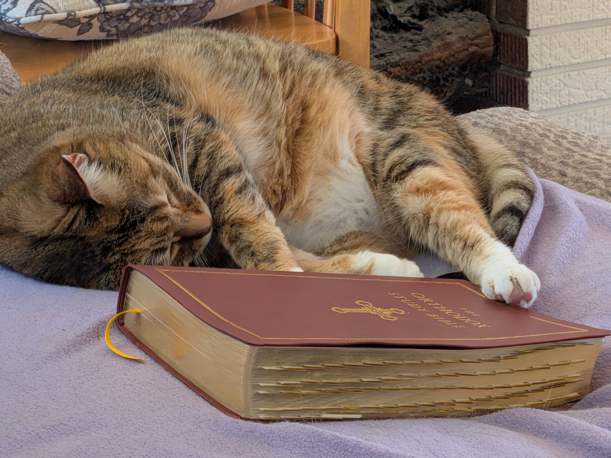 JSax86's tweet photo. I guess today's reading knocked her out! 😹 https://t.co/peS0aolOj5