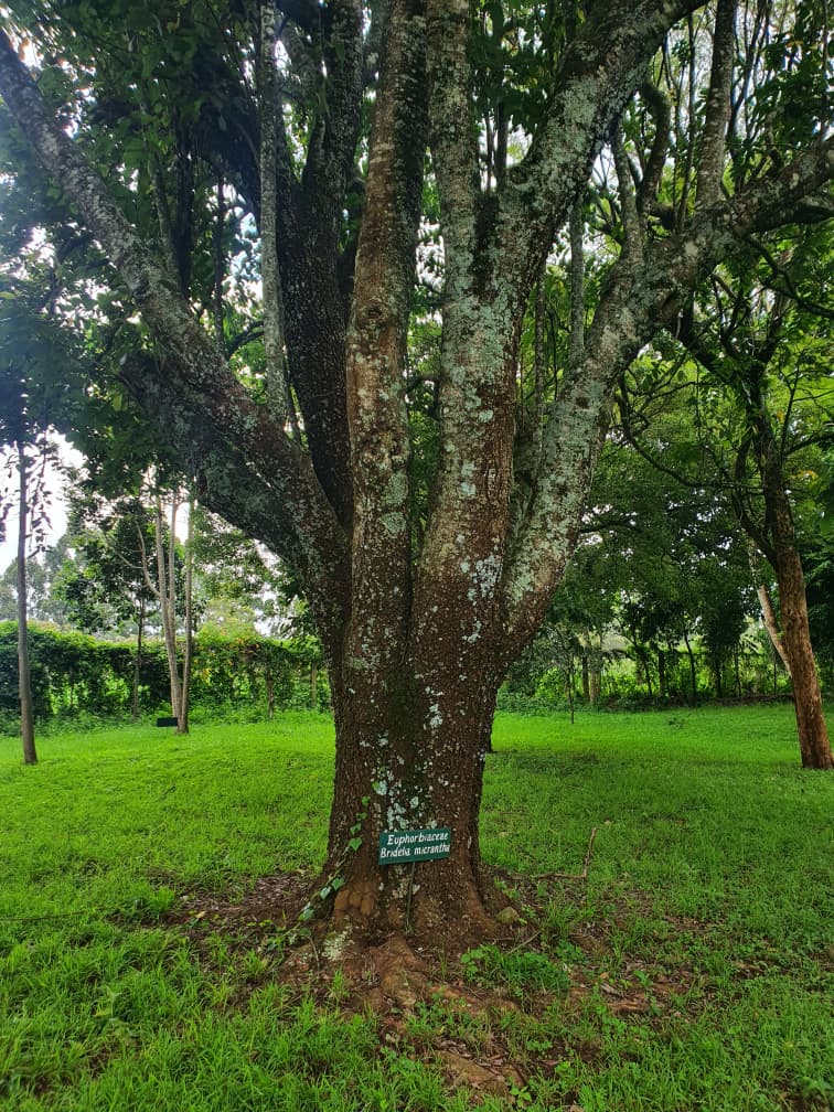 Environmentalist Lokitambaa Andrew tweet media