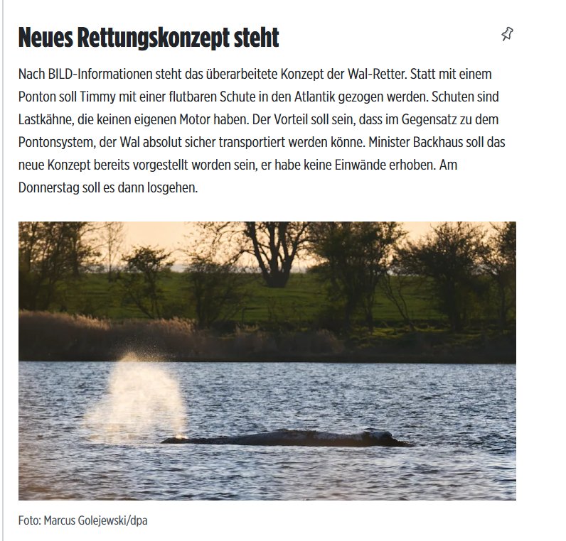 MonikaFrance's tweet image. #Update, gerade gefunden:
Nach Bild steht das neue Konzept zur #Rettung. Herr #Backhaus hat anscheinend auch schon ok gegeben. Donnerstag soll es losgehen. Wäre zu schön, Hoffnung ❤️
#Timmy #Hope 🐳💚 #Buckelwal