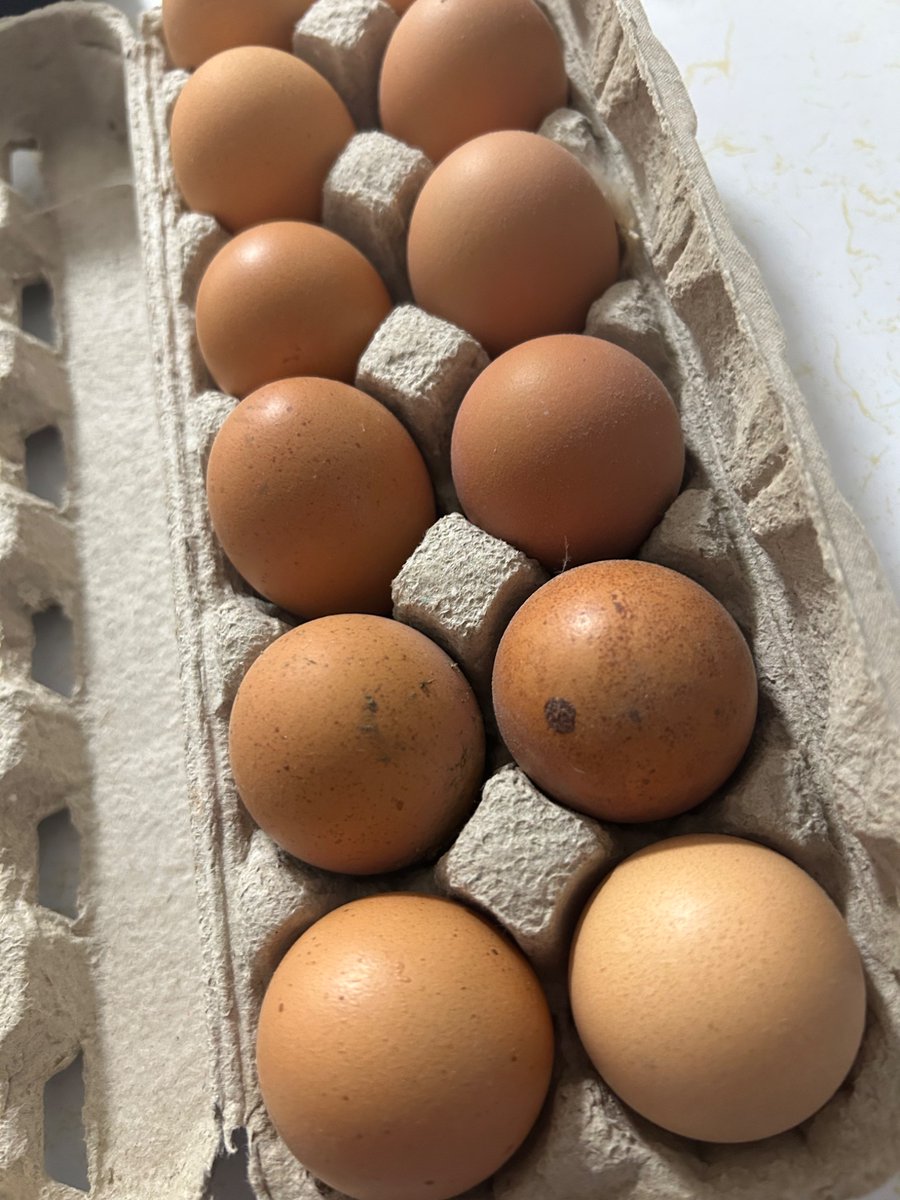 えつ🇨🇦 tweet media