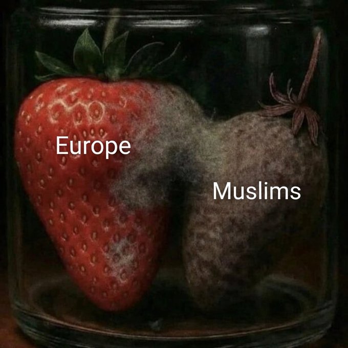 LaydenRobinson's tweet image. #Europe &amp;amp; #Muslims