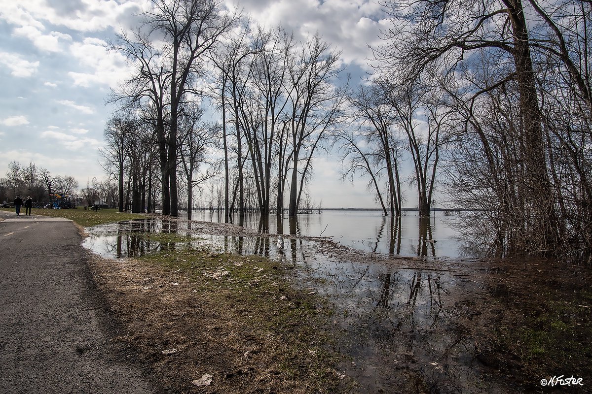 harry_fosters's tweet photo. Post one of three,
Went for a walk around the #Aylmer Marina this morning to see the effect of high water. Besides these images of high water there were a few buildings and houses pumping water out of basements. #flooding #highwater https://t.co/b65fBcNrQW