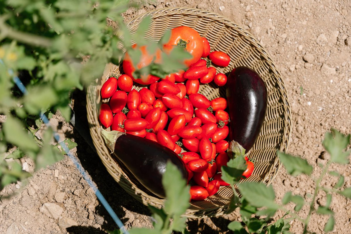 Sharnie Riley tweet media