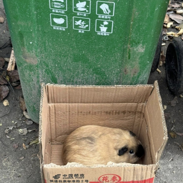 Christian Tenbosch tweet media