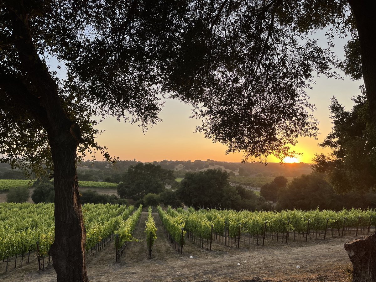 Happy Earth Day! Today we celebrate the land, water, and animals that make it all possible 🌎💚

We're excited to continue growing the ways we care for our planet and can't wait to have you join this journey.

#earthday #carrwinery #drinksustainably #wine #organicwine
