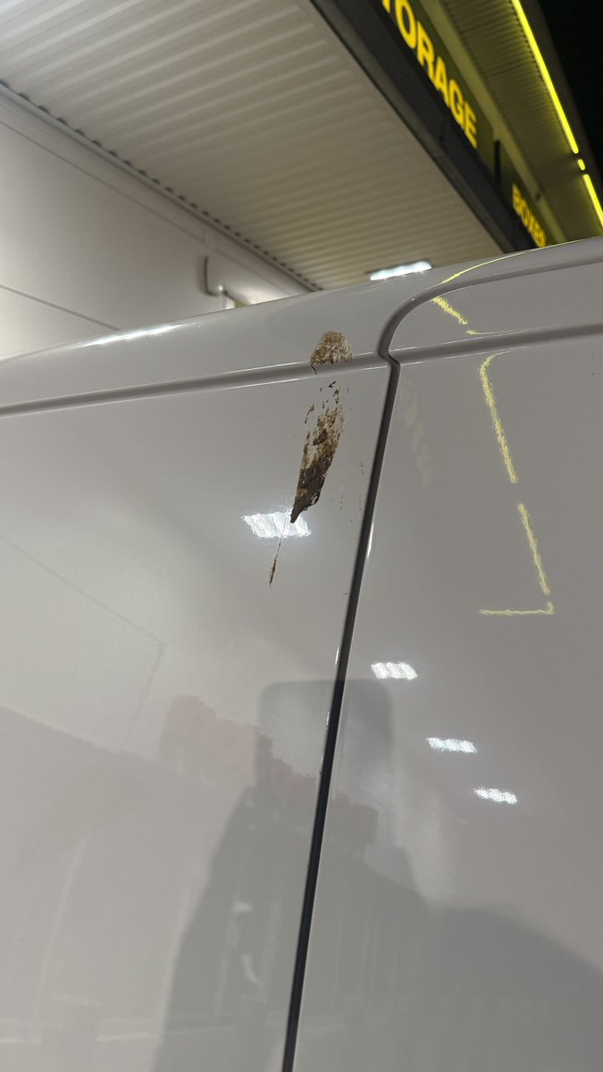 Pari ᢉ𐭩 tweet media