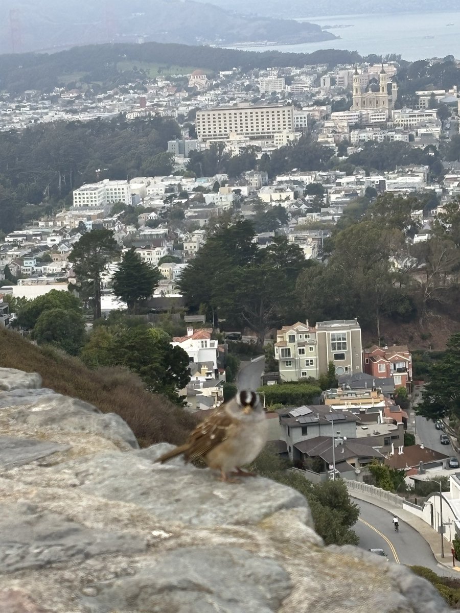 aaliyah simone tweet media