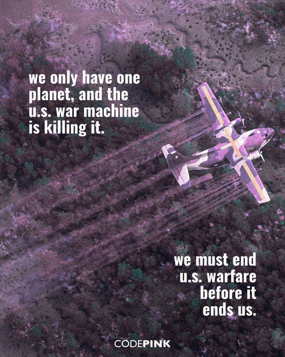 CODEPINK tweet media