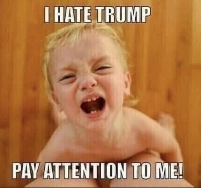 Silence Dogood 𝕏 🇺🇸 tweet media