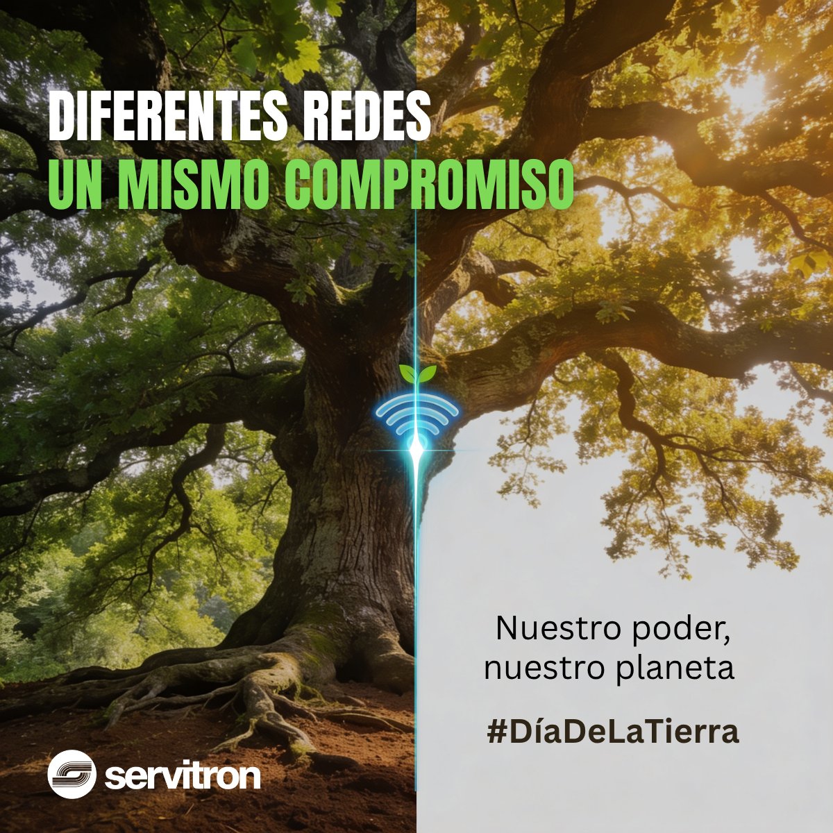 Servitron tweet media