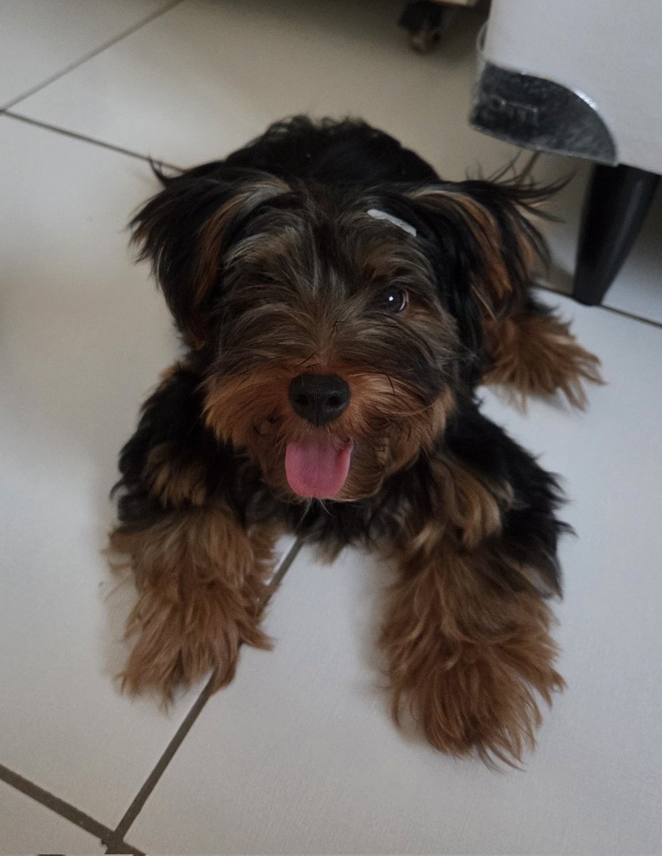 paiN isa 🌱 tweet media