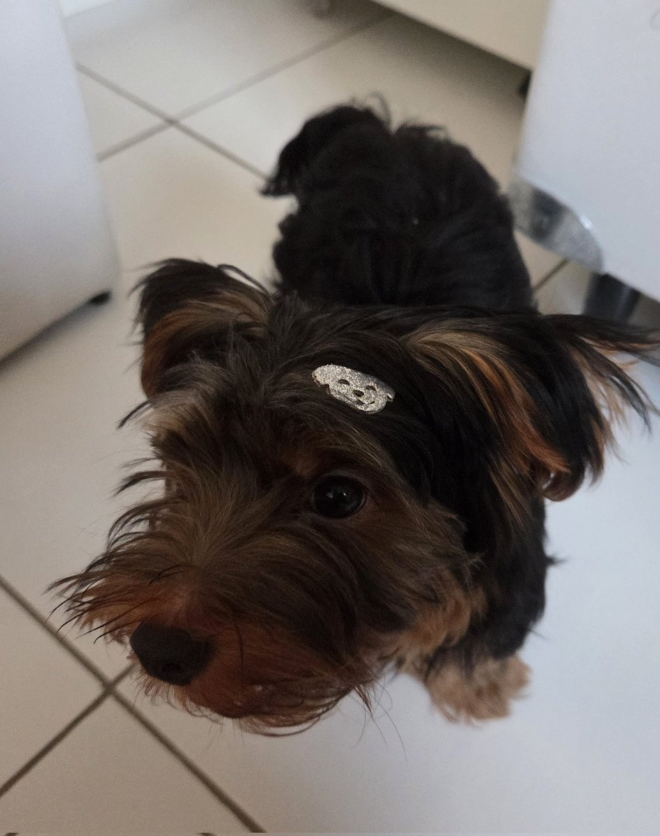 paiN isa 🌱 tweet media