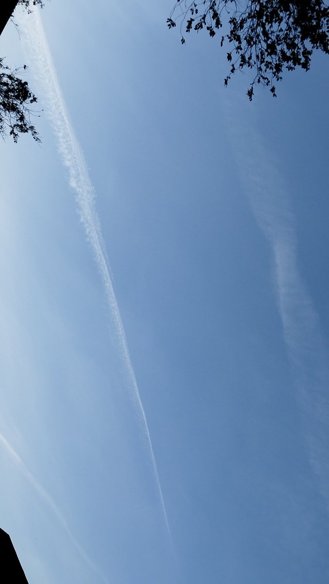 El hombre muerto. tweet media