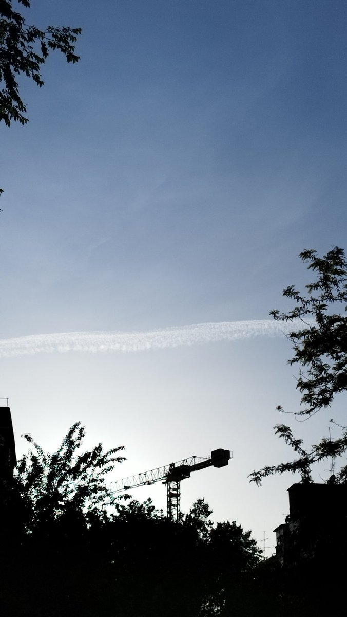 El hombre muerto. tweet media