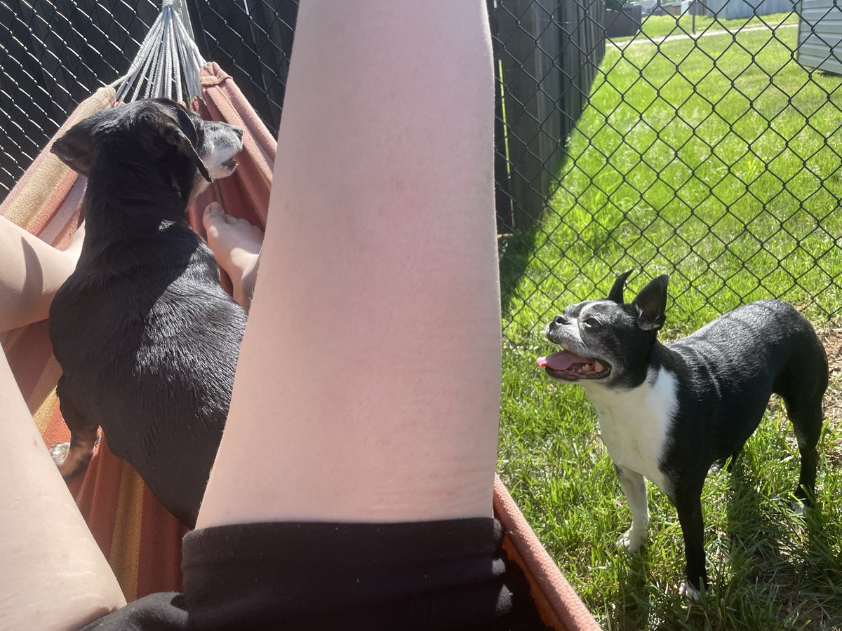 pheebs 🏳️‍⚧️ tweet media