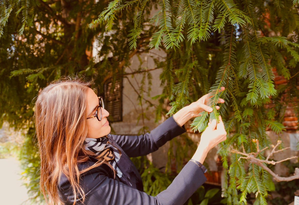 Debora Hirsch tweet media