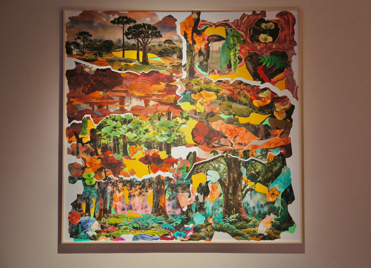 Debora Hirsch tweet media