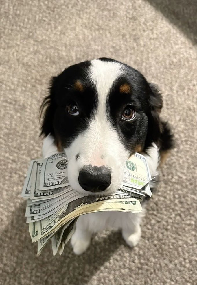 Bands💰 tweet media