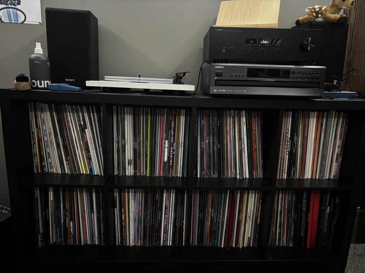 holly ִֶ ⋆𐙚❅🦌*°⋆❆. tweet media