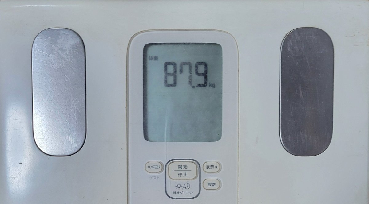 サラミパパ😻 tweet media