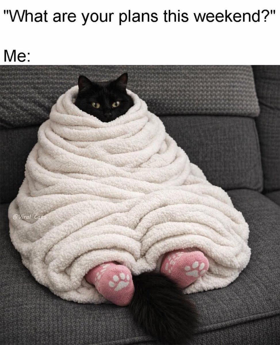 Black cats are not bad luck (@visualscat) on Twitter photo 