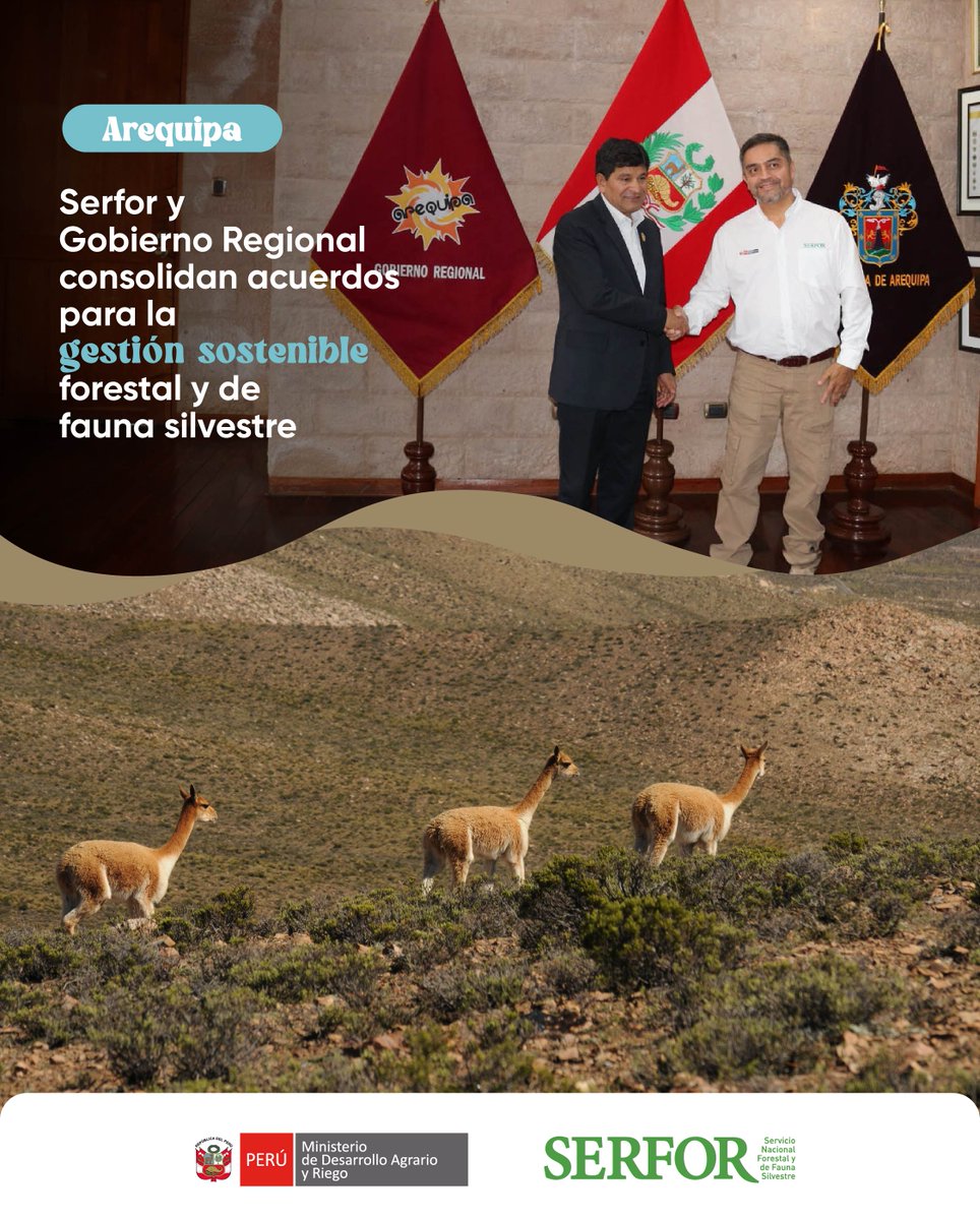 SerforPeru's tweet image. #Arequipa | El director ejecutivo del Serfor, Erasmo Otárola, junto a su equipo técnico, sostuvo una reunión de trabajo con el gobernador regional de Arequipa, Rohel Sánchez, para impulsar importantes acciones en la región.