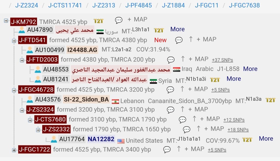 زبيد طيىء مذحج FGC4415 tweet media