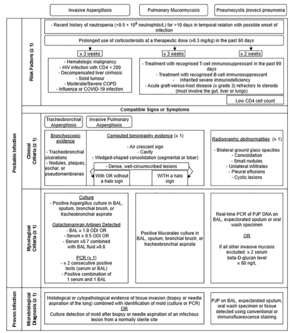 Diagnostic steps for opportunistic pulmonary mycoses.

doi.org/10.1016/j.ccc.…