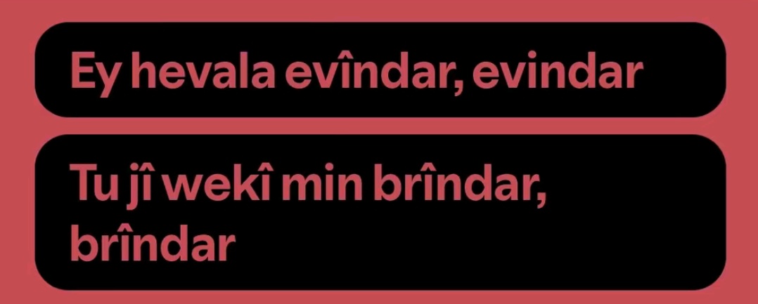 leyla tweet media