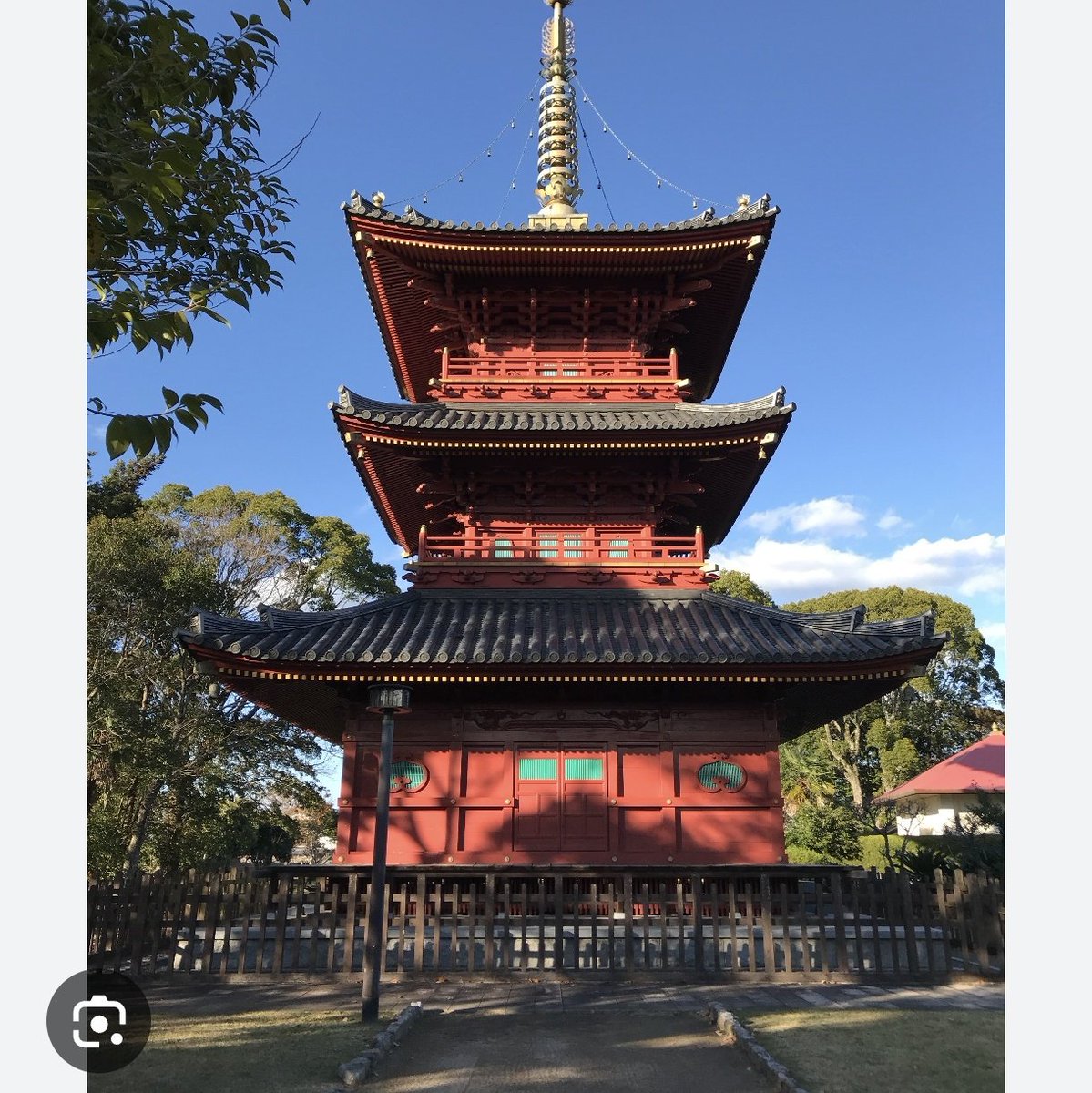 お腹が豚まん tweet media