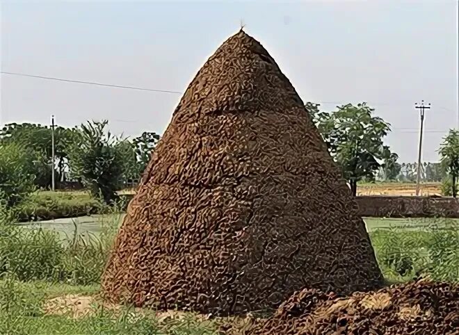 Historic.ly tweet media